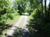 Osgoode Link Pathway