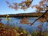 Lac Lusk