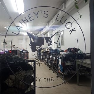 the Lainey's luck logo is visible on the glass of the store, a row of bins line the wall of the store behind it