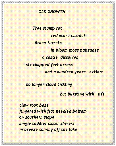 Text Box:                 OLD GROWTH           Tree stump rot	               red ochre citadel	  lichen turrets		    in bloom moss palisades	        a castle  dissolves      six chopped feet across                     and a hundred years   extinct      no longer cloud tickling                                                           but bursting with   life   claw root base   fingered with flat needled balsam   on southern slope   single toddler sister shivers   in breeze coming off the lake
